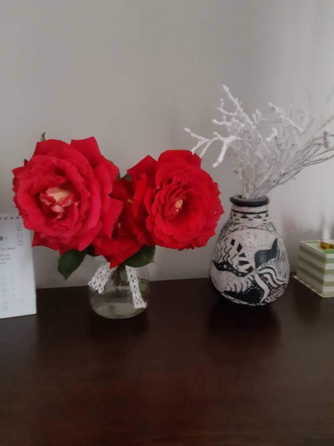 קונסטנצה Relax Apartament מראה חיצוני תמונה